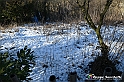 VBS_0812 - Corneliano d'Alba
